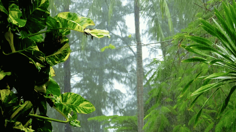 Sustainable Environmen